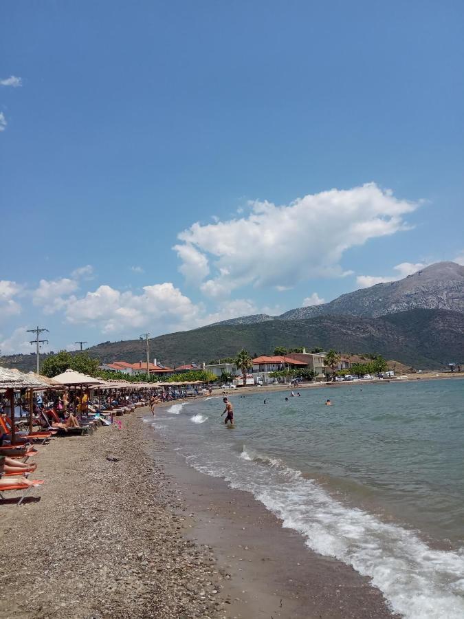 Πέτρινο Στη Θάλασσα Lejlighed Nafpaktos Eksteriør billede
